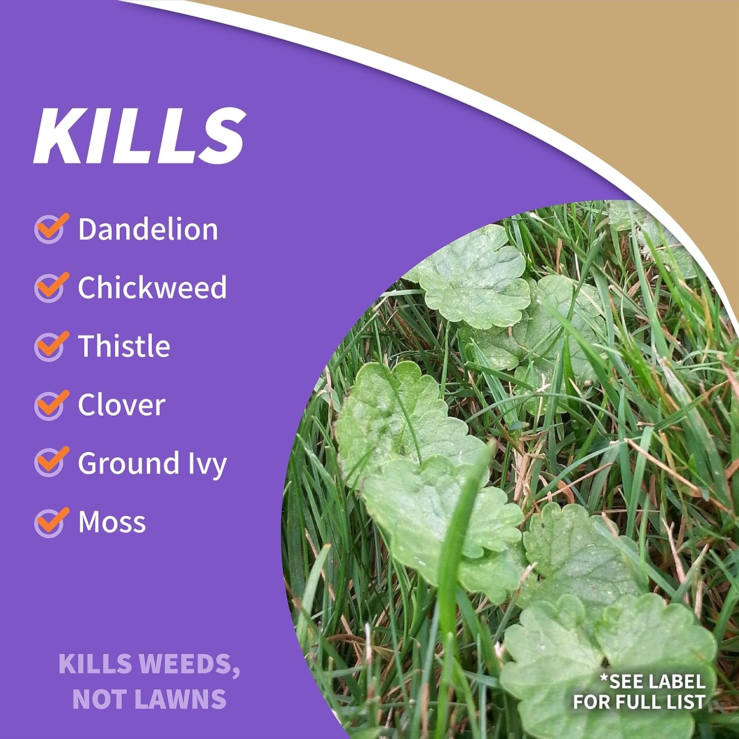 Bonide Captain Jack’s Lawnweed Brew, 32 oz Concentrate, Fast-Acting Formula Controls Weeds, Moss, Algae, Lichens & Disease(32 Fl Oz (Pack of 1))