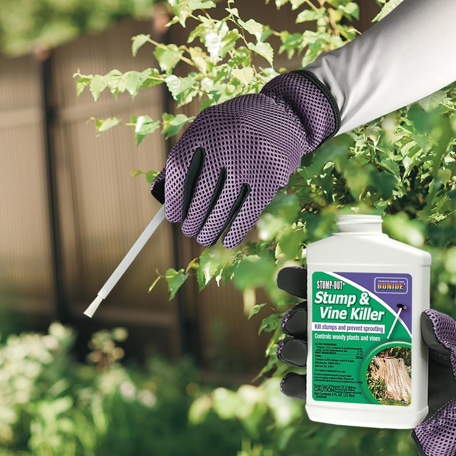 Stump-Out Stump & Vine Killer, 8 oz Concentrate with Applicator, Fast Acting Home Tree Stump Removal(1)
