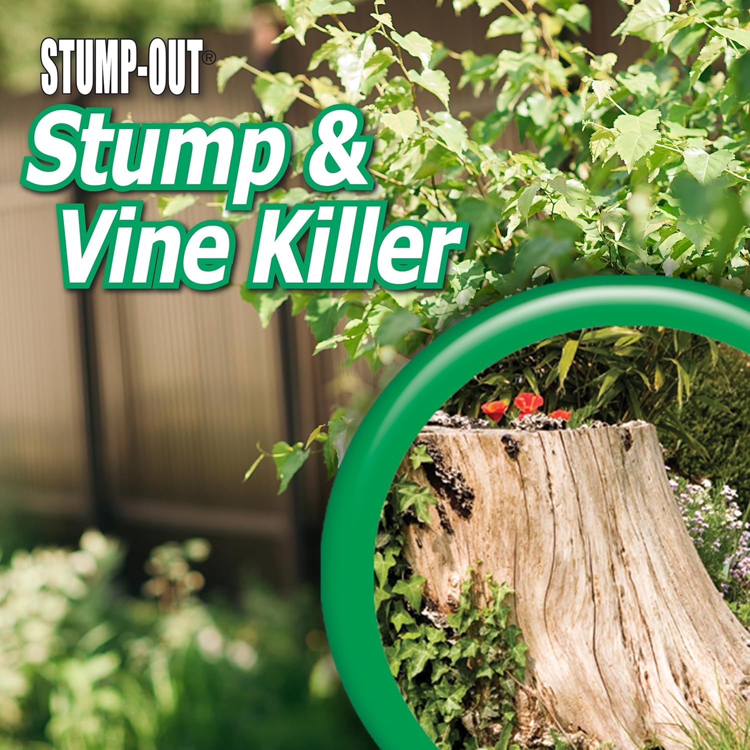 Stump-Out Stump & Vine Killer, 8 oz Concentrate with Applicator, Fast Acting Home Tree Stump Removal(1)