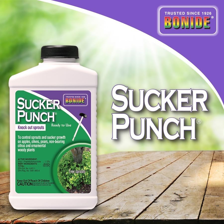 Bonide Sucker Punch, 16 oz Ready-to-Use Spray, Control Unwanted Plant Sprouts, Plant Growth Regulator for Home Garden(Ready-To-Use)