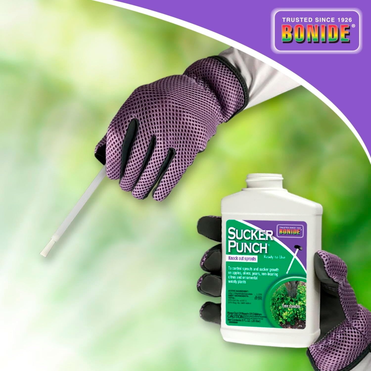 Bonide Sucker Punch, 16 oz Ready-to-Use Spray, Control Unwanted Plant Sprouts, Plant Growth Regulator for Home Garden(Ready-To-Use)