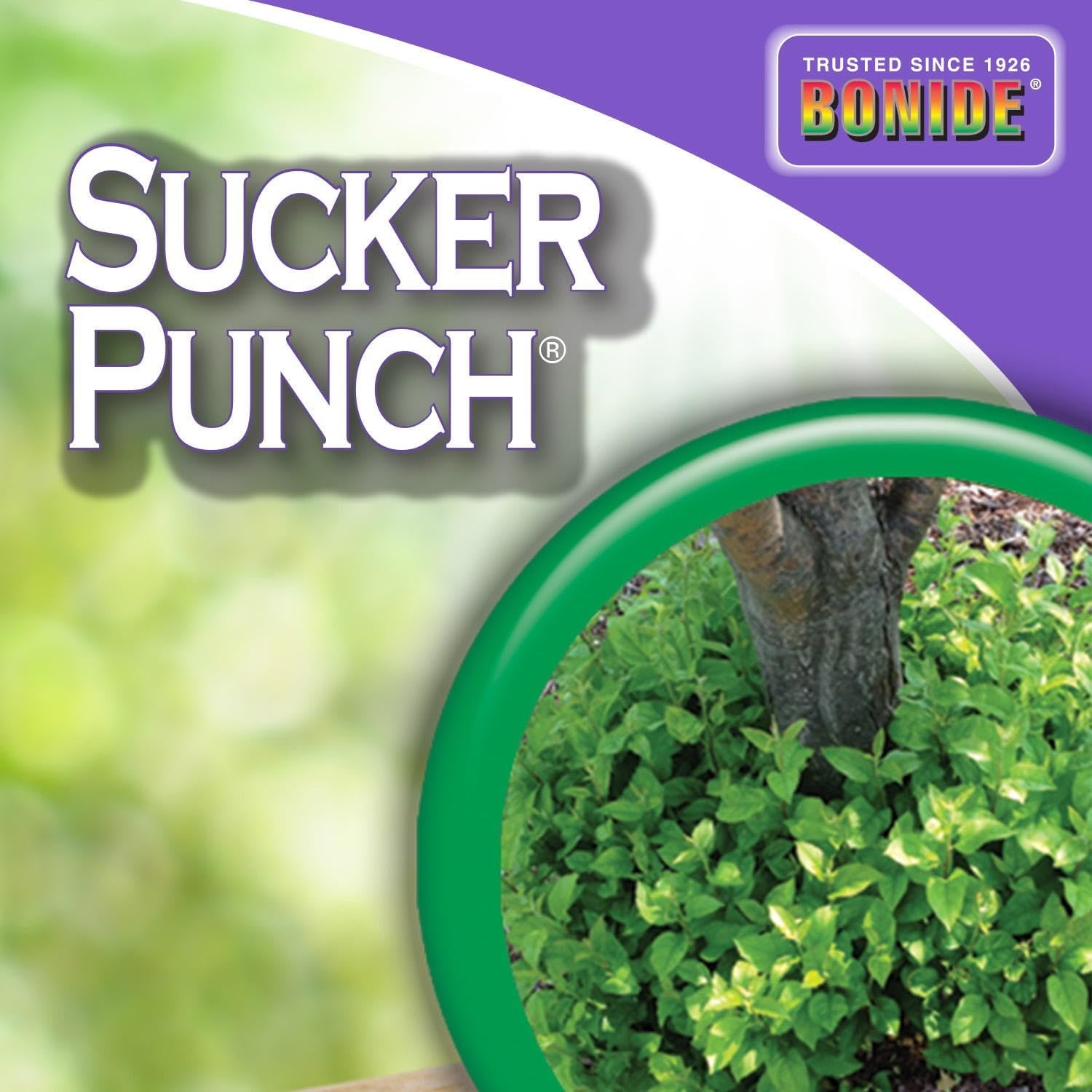 Bonide Sucker Punch, 16 oz Ready-to-Use Spray, Control Unwanted Plant Sprouts, Plant Growth Regulator for Home Garden(Ready-To-Use)