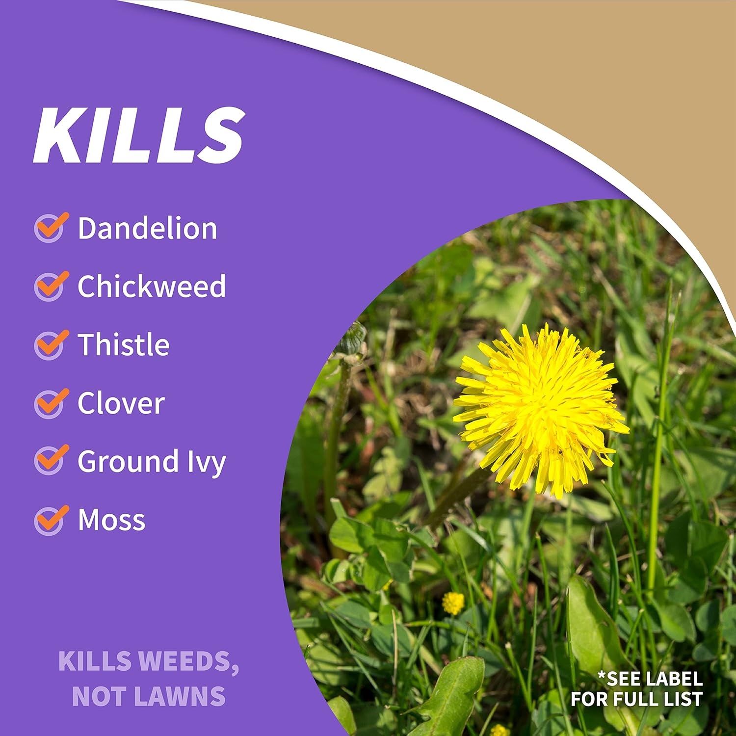 Bonide Captain Jack’s Lawnweed Brew, 32 oz Ready-to-Spray, Fast-Acting Formula Controls Weeds, Moss, Algae, Lichens & Disease