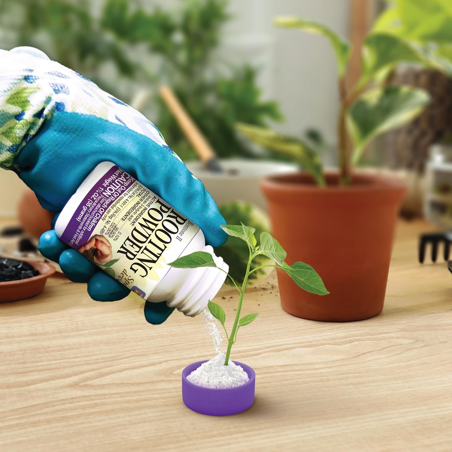 Bonide Bontone II Rooting Powder, 1.25 oz Ready-to-Use Dust for Houseplants and Transplants Speeds Root Development(1.25 oz (Pack of 2))