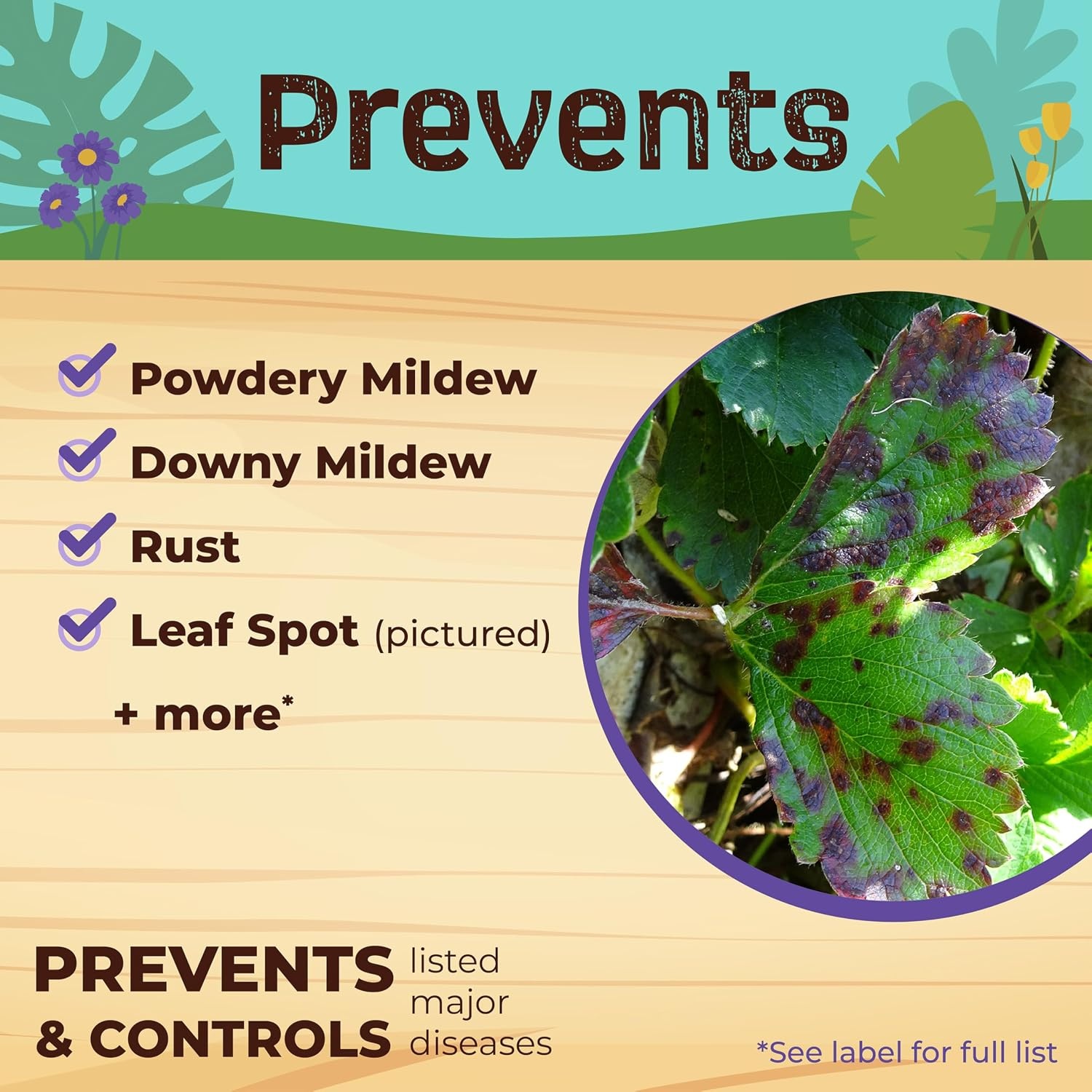 Bonide Captain Jack’s 12 oz Neem Max Ready-to-Use Spray for Houseplants Indoors(Ready-To-Use)
