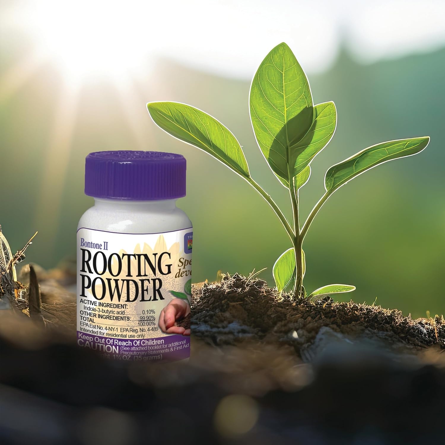 Bonide Bontone II Rooting Powder, 1.25 oz Ready-to-Use Dust for Houseplants and Transplants Speeds Root Development(1.25 oz (Pack of 4))