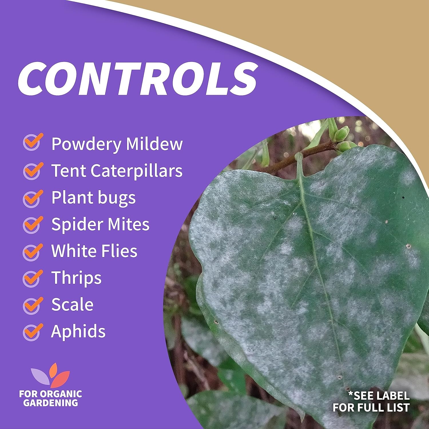 Bonide Insecticidal Soap, 32 oz Ready-to-Use Spray Multi-Purpose Insect Control for Organic Gardening Indoor and Outdoor(1 quart)