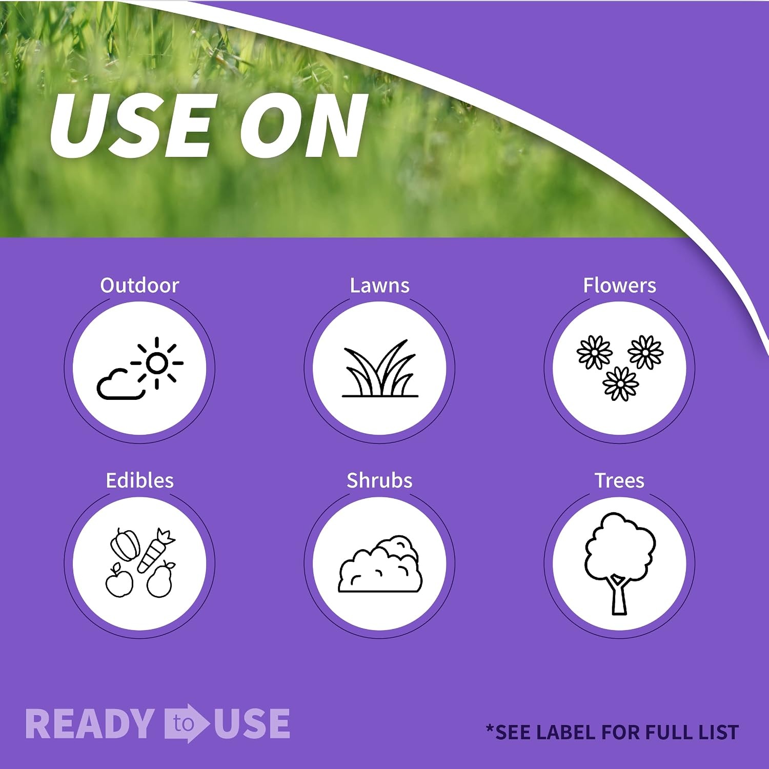 Bonide 428 Eight Insect Control Garden & Home Outdoor Insecticide, Kills Beetles, Ants, Aphids, 32 oz. Read – Quantity 1(Ready-To-Use)