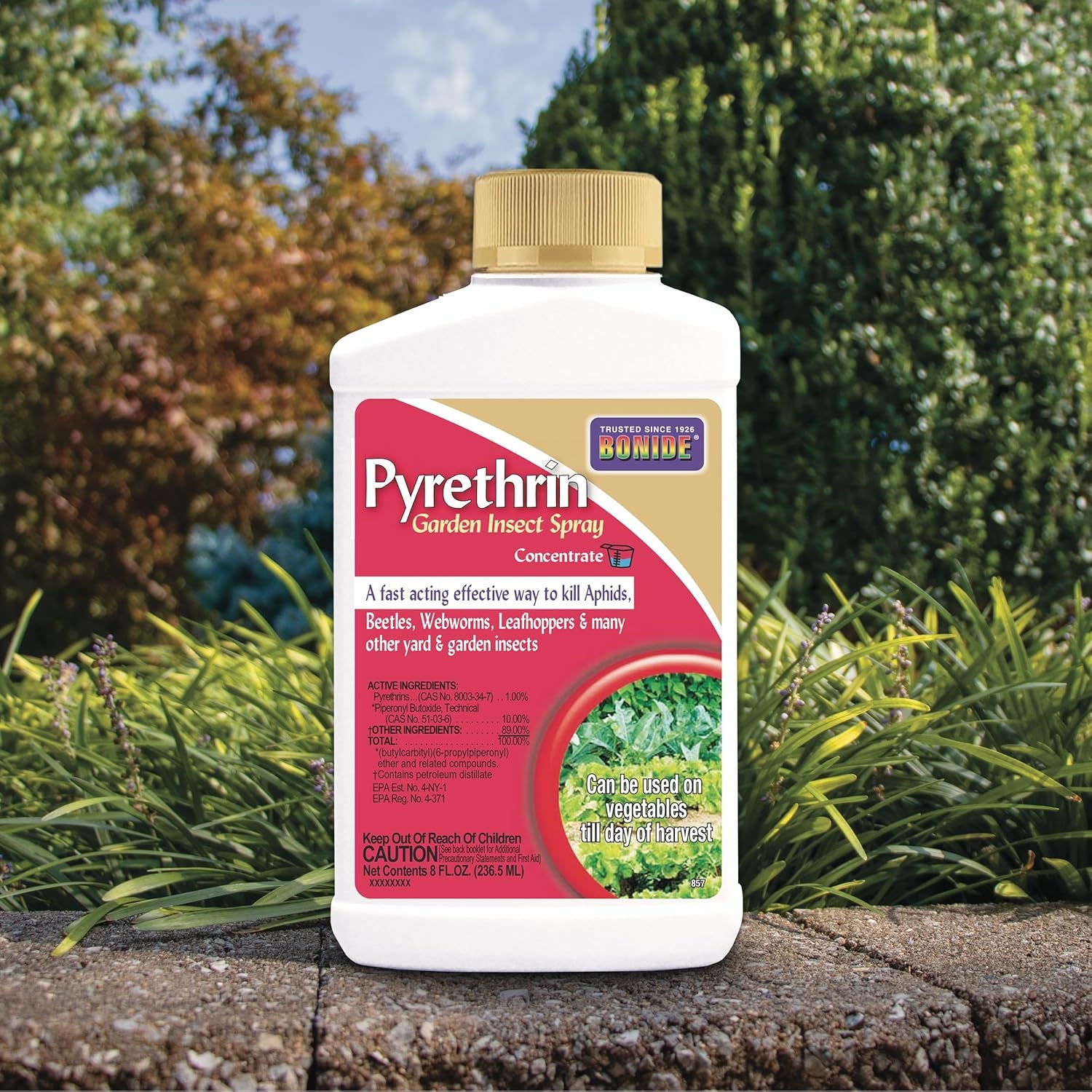 Bonide Pyrethrin Garden Insect Spray Concentrate, 16 oz Ready-to-Mix Fast Acting Insecticide for Outdoor Garden Use(Concentrate)