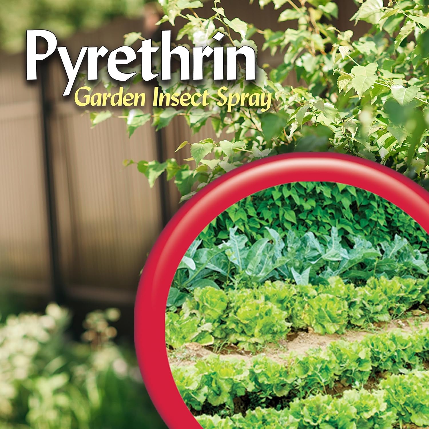 Bonide Pyrethrin Garden Insect Spray Concentrate, 16 oz Ready-to-Mix Fast Acting Insecticide for Outdoor Garden Use(Concentrate)