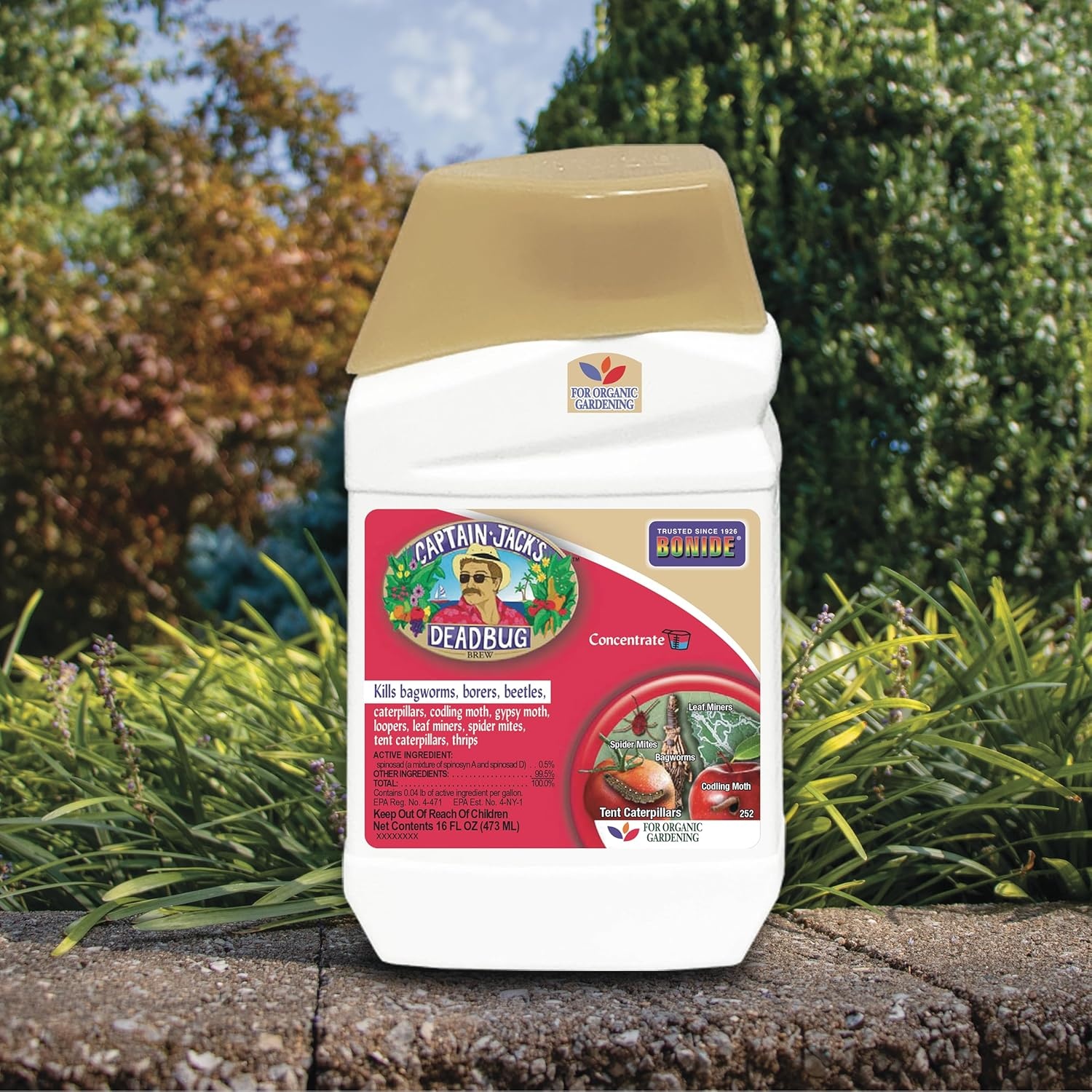Bonide Captain Jack’s Deadbug Brew, 32 oz Concentrate Outdoor Insecticide and Mite Killer for Organic Gardening(Concentrate)