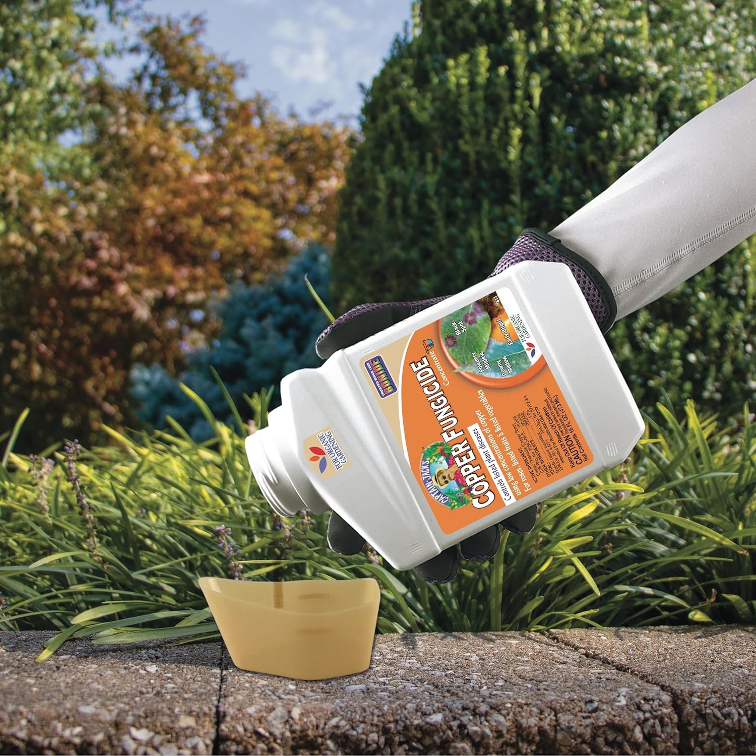 Bonide Captain Jack Copper Fungicide 16 oz Concentrated Plant Disease Control Solution for Organic Gardening(16 Fl Oz (Pack of 6))