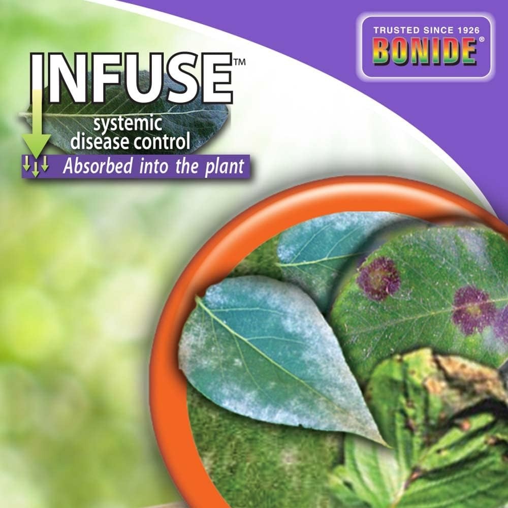 Bonide Infuse Systemic Disease Control, 16 oz Concentrated Solution for Plant Disease Control, Long Lasting & Waterproof(16 oz)