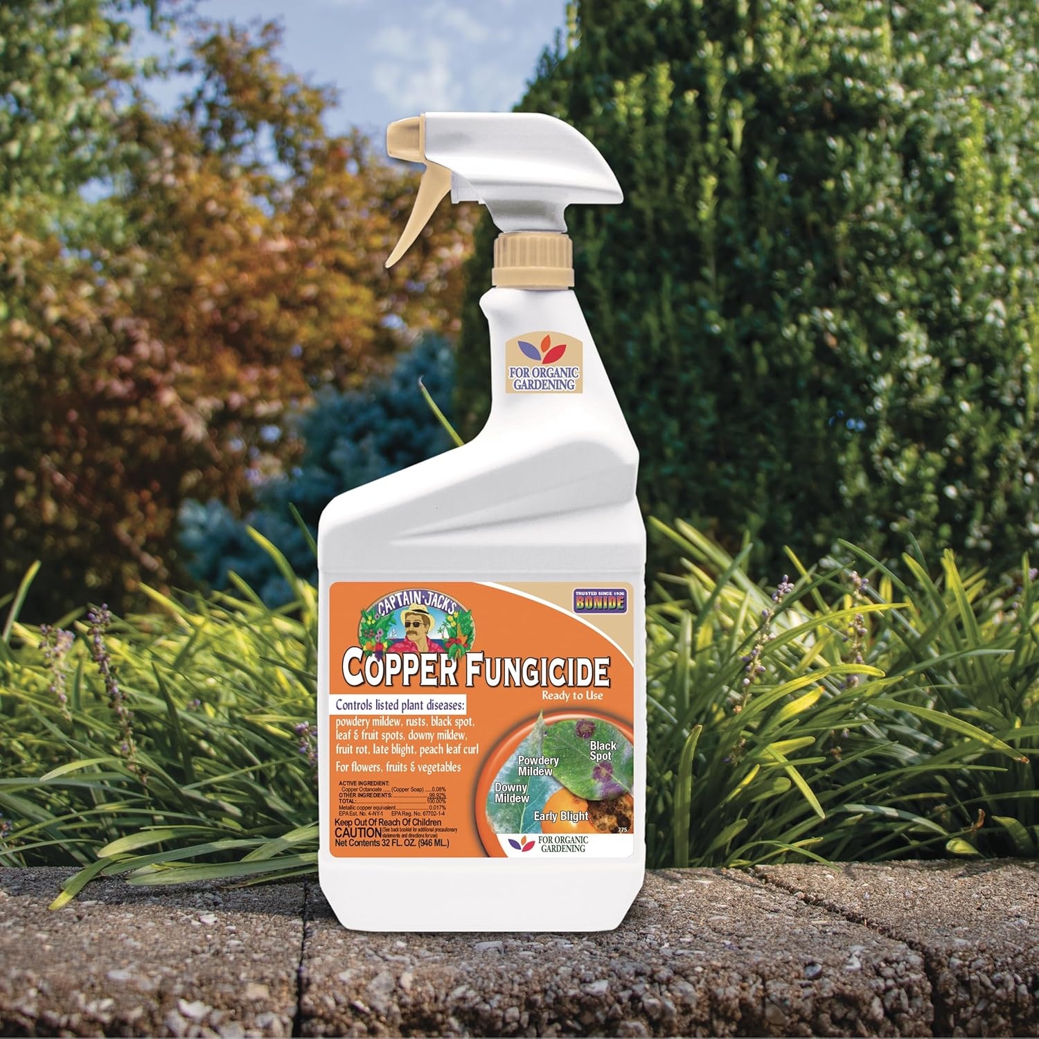 Bonide Captain Jack’s Copper Fungicide, 32 oz Ready-to-Use Spray for Organic Gardening, Controls Common Diseases(32 oz (Pack of 1))
