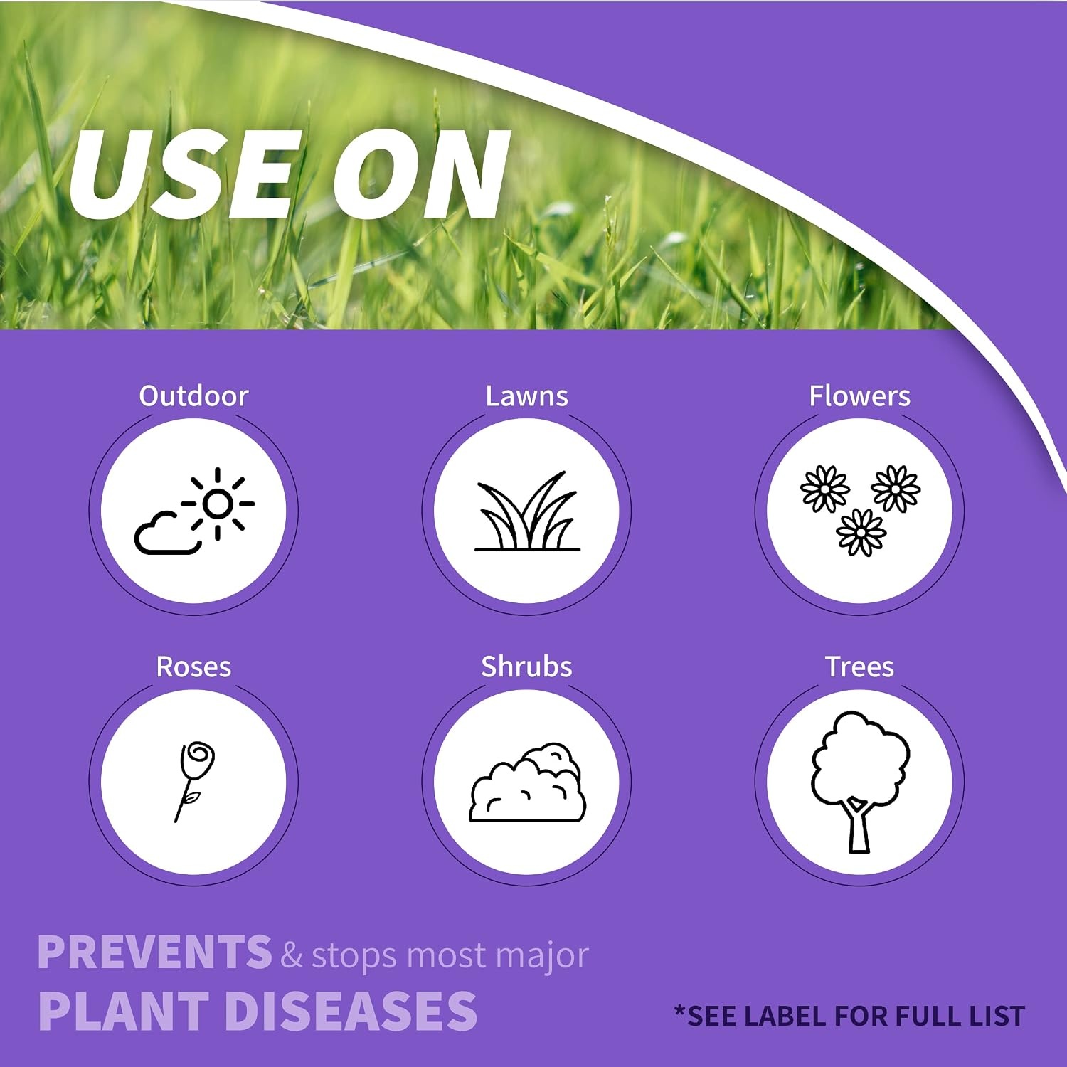 Bonide Infuse Systemic Disease Control, 16 oz Concentrated Solution for Plant Disease Control, Long Lasting & Waterproof(32 oz)