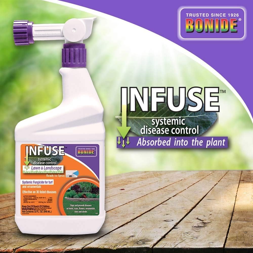 Bonide Infuse Systemic Disease Control, 16 oz Concentrated Solution for Plant Disease Control, Long Lasting & Waterproof(32 oz)