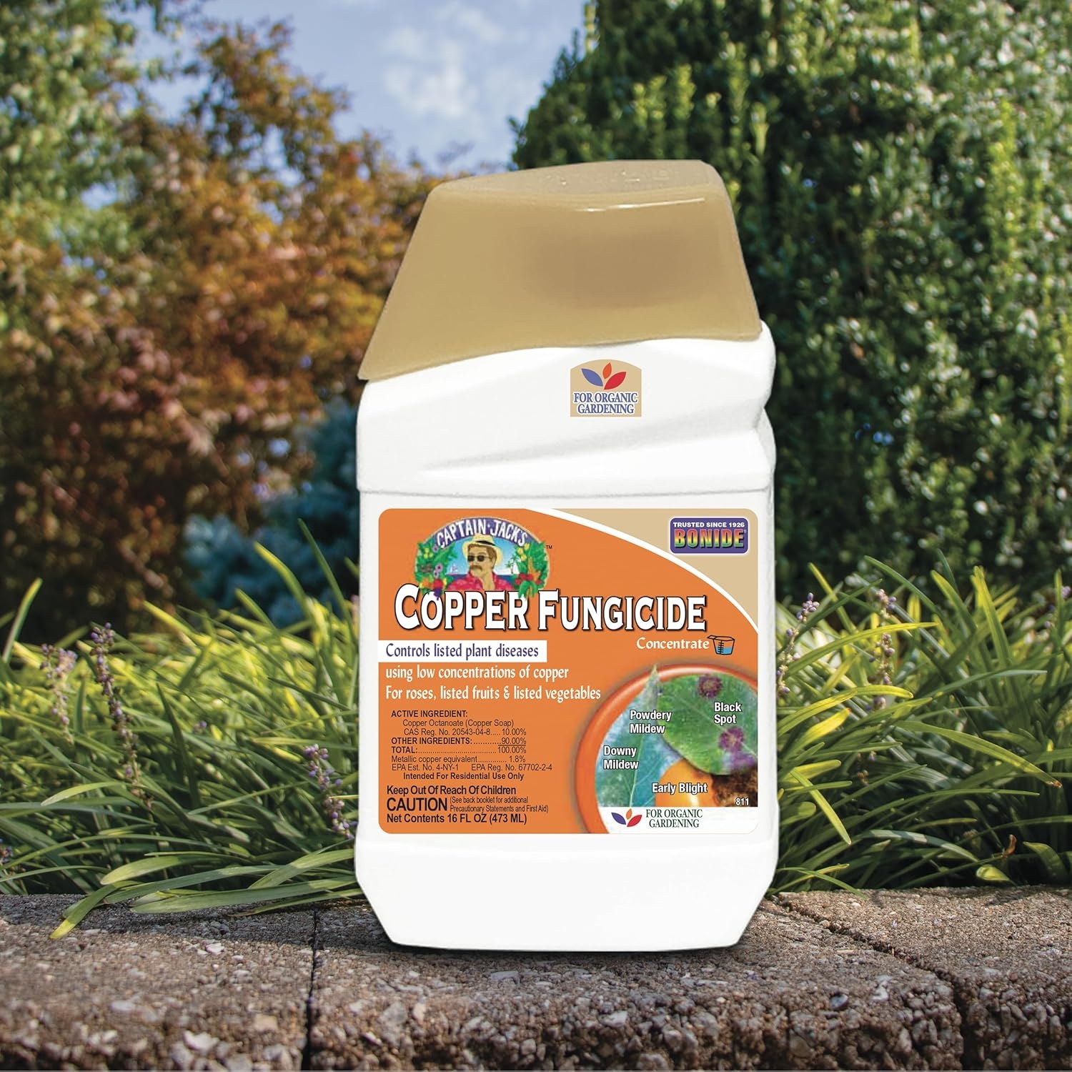Bonide Captain Jack Copper Fungicide 16 oz Concentrated Plant Disease Control Solution for Organic Gardening(16 Fl Oz)
