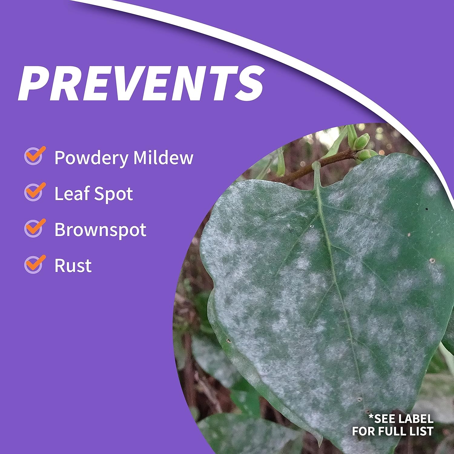 Bonide Fruit Tree & Plant Guard, 32 oz Concentrate, Multi-Purpose Fungicide, Insecticide and Miticide for Home Gardening(Concentrate)