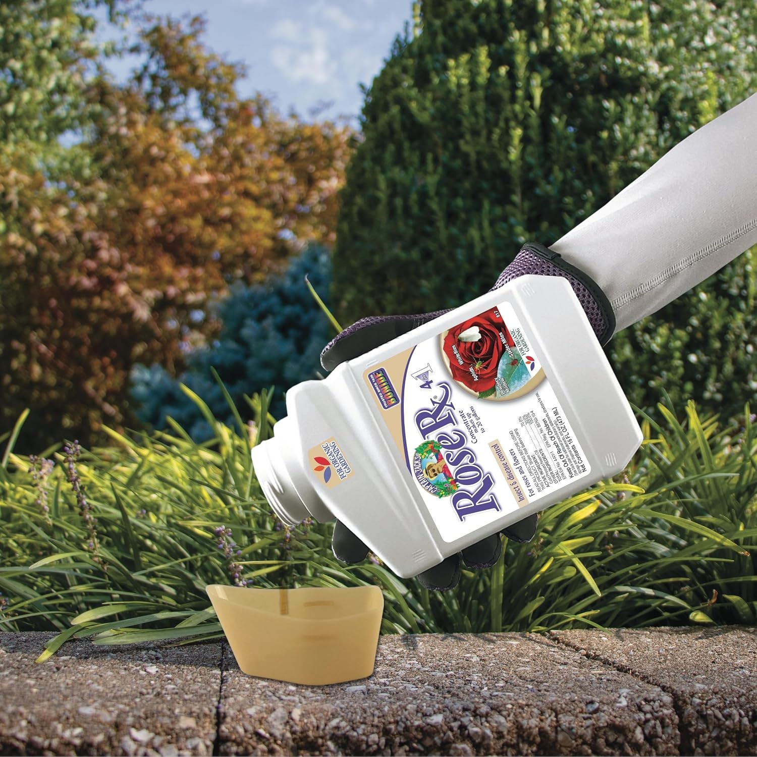Bonide Captain Jack’s Rose Rx 4-in-1 Insect & Disease Control, 16 oz Concentrate Neem Oil for Organic Gardening