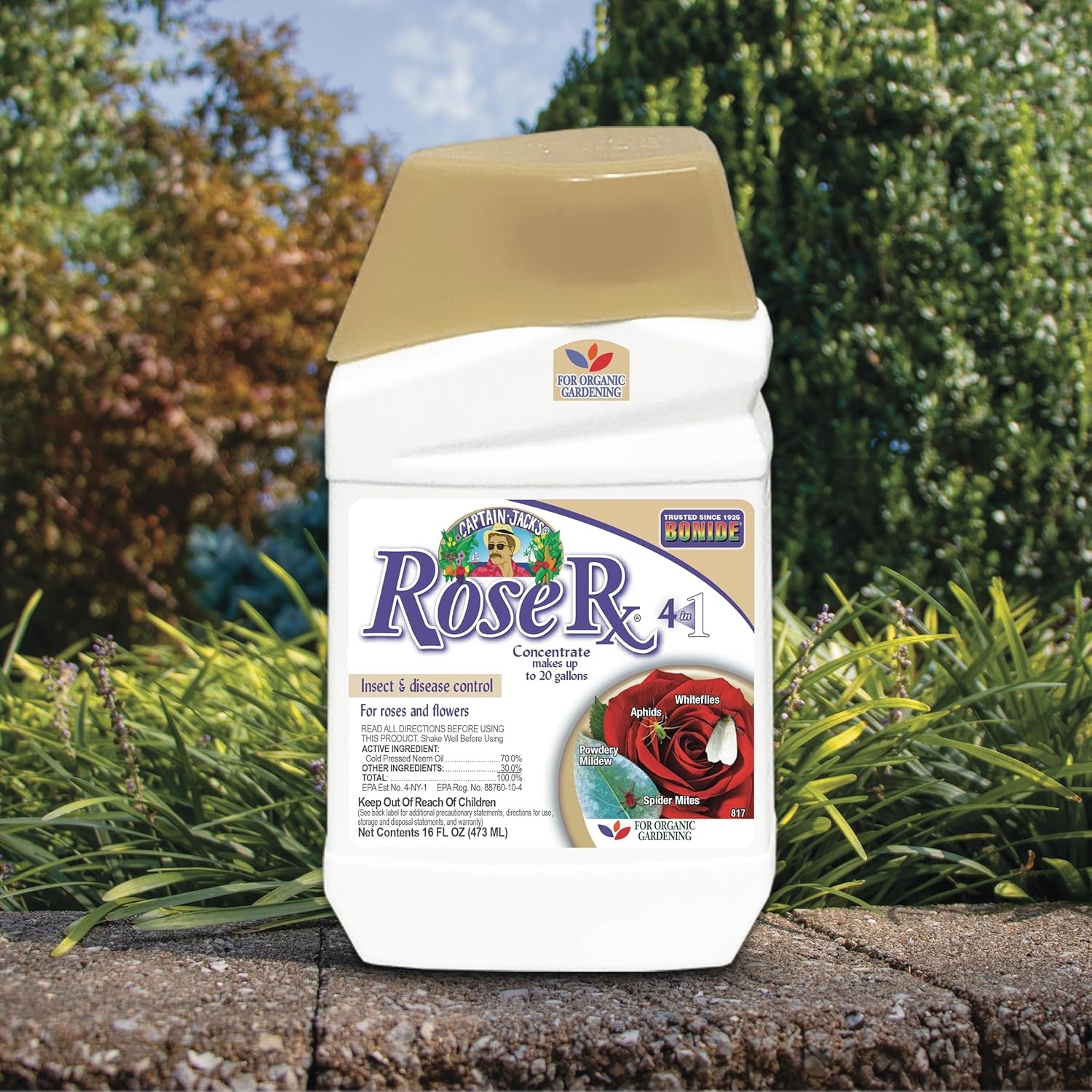 Bonide Captain Jack’s Rose Rx 4-in-1 Insect & Disease Control, 16 oz Concentrate Neem Oil for Organic Gardening