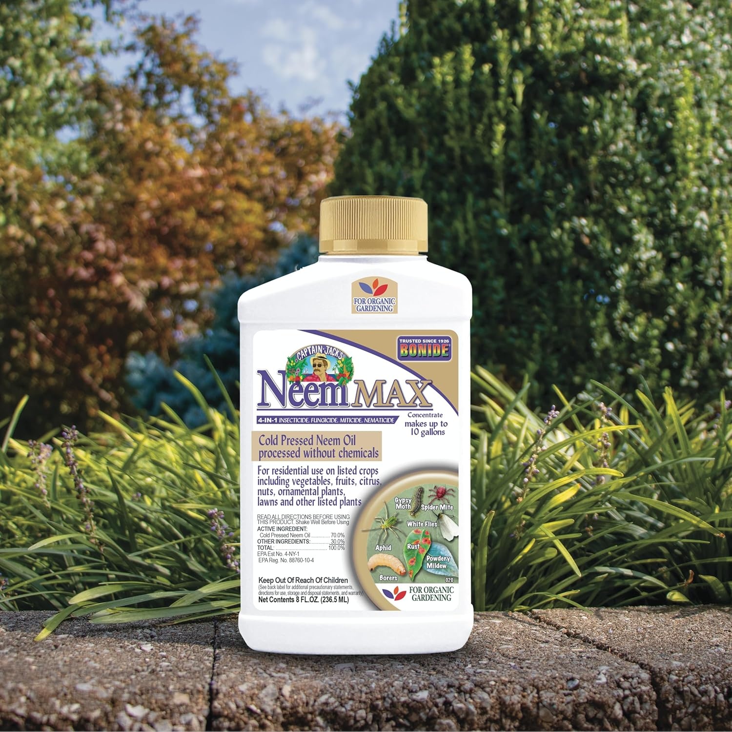 Bonide Captain Jack’s Neem Max, 8 oz Concentrated Cold Pressed Neem Oil, Multi-Purpose Insecticide, Fungicide, Miticide and Nematicide for Organic Gardening(Concentrate)