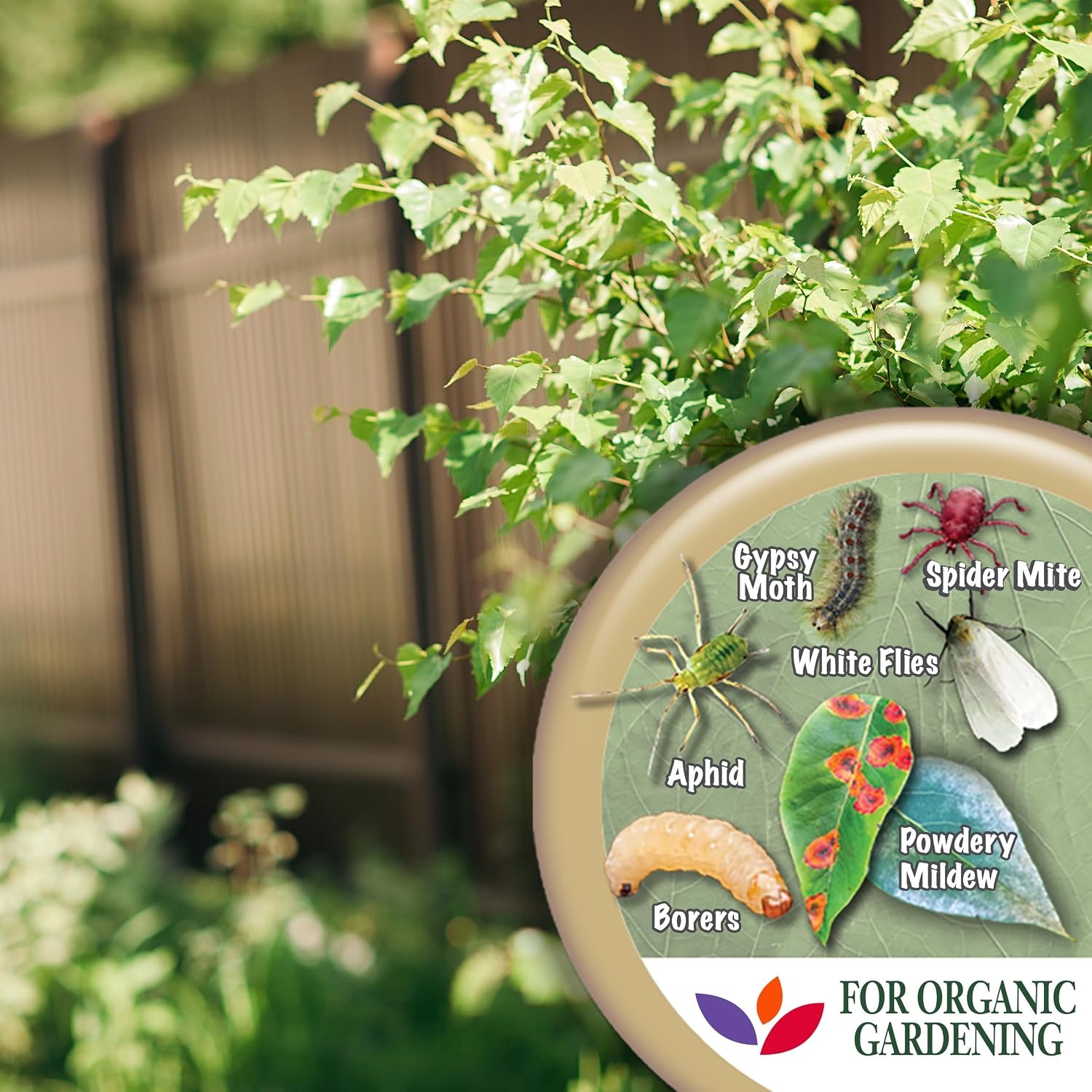 Bonide Captain Jack’s Neem Max, 8 oz Concentrated Cold Pressed Neem Oil, Multi-Purpose Insecticide, Fungicide, Miticide and Nematicide for Organic Gardening(Concentrate)