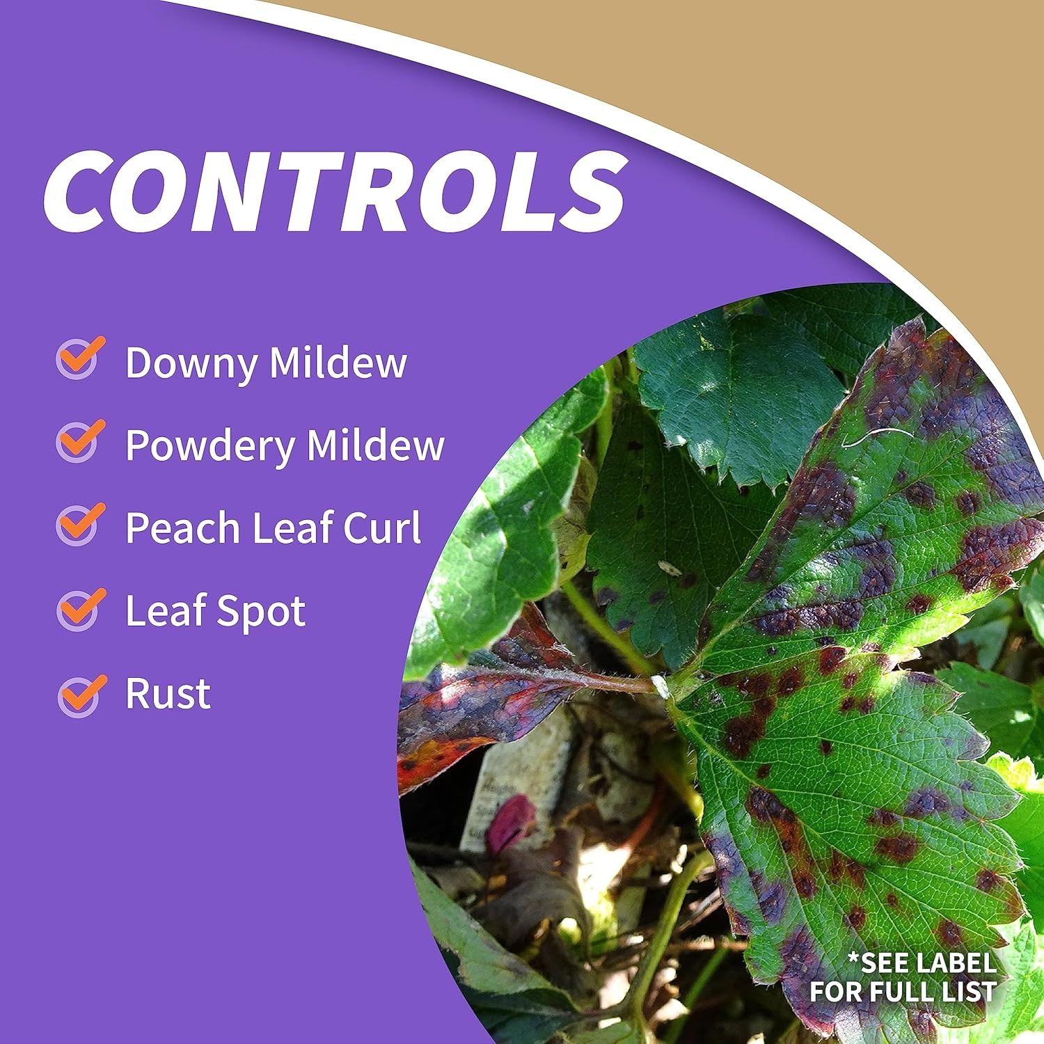 Bonide Captain Jack’s Copper Fungicide, 32 oz Ready-to-Spray Disease Control Solution for Organic Gardening, Controls Leaf Curl(Ready-To-Spray)