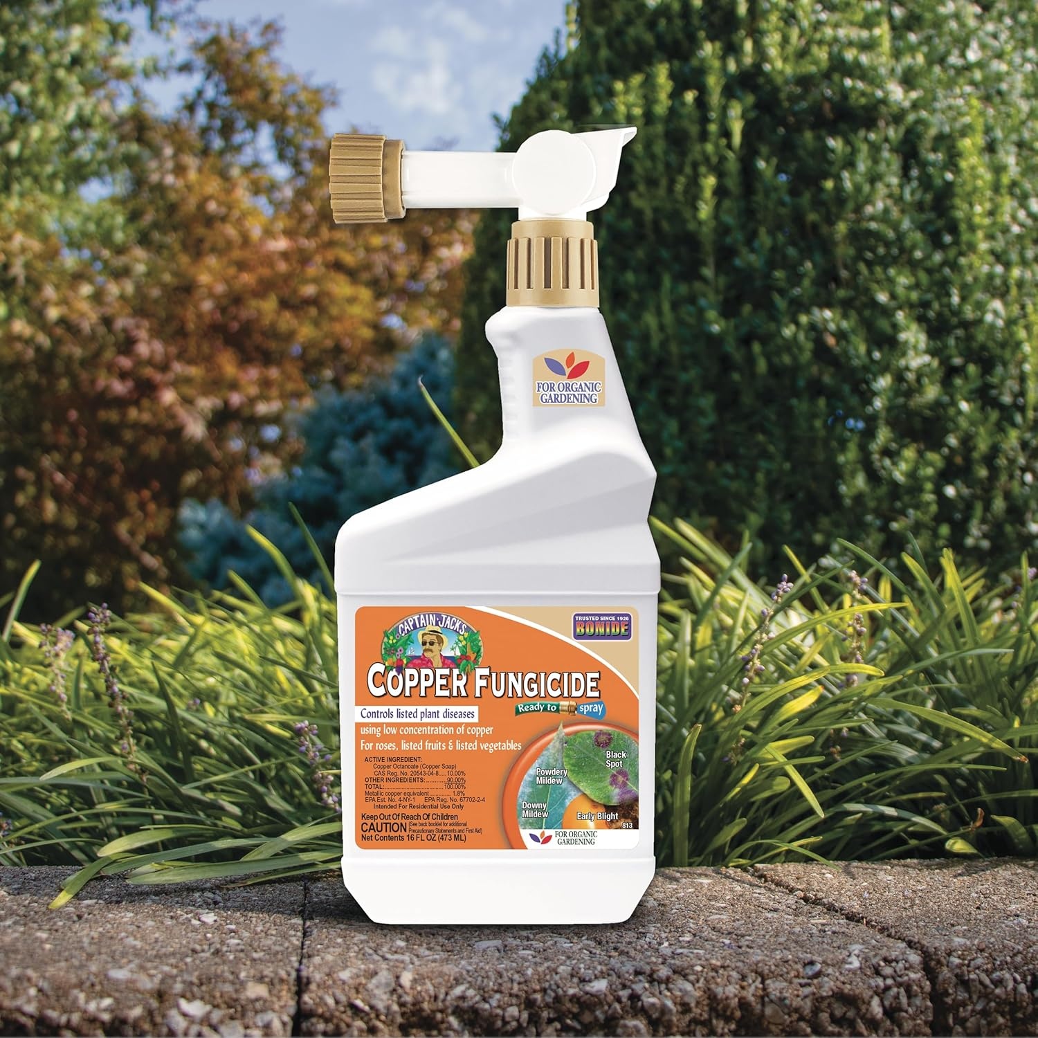 Bonide Captain Jack’s Copper Fungicide, 32 oz Ready-to-Spray Disease Control Solution for Organic Gardening, Controls Leaf Curl(Ready-To-Spray)