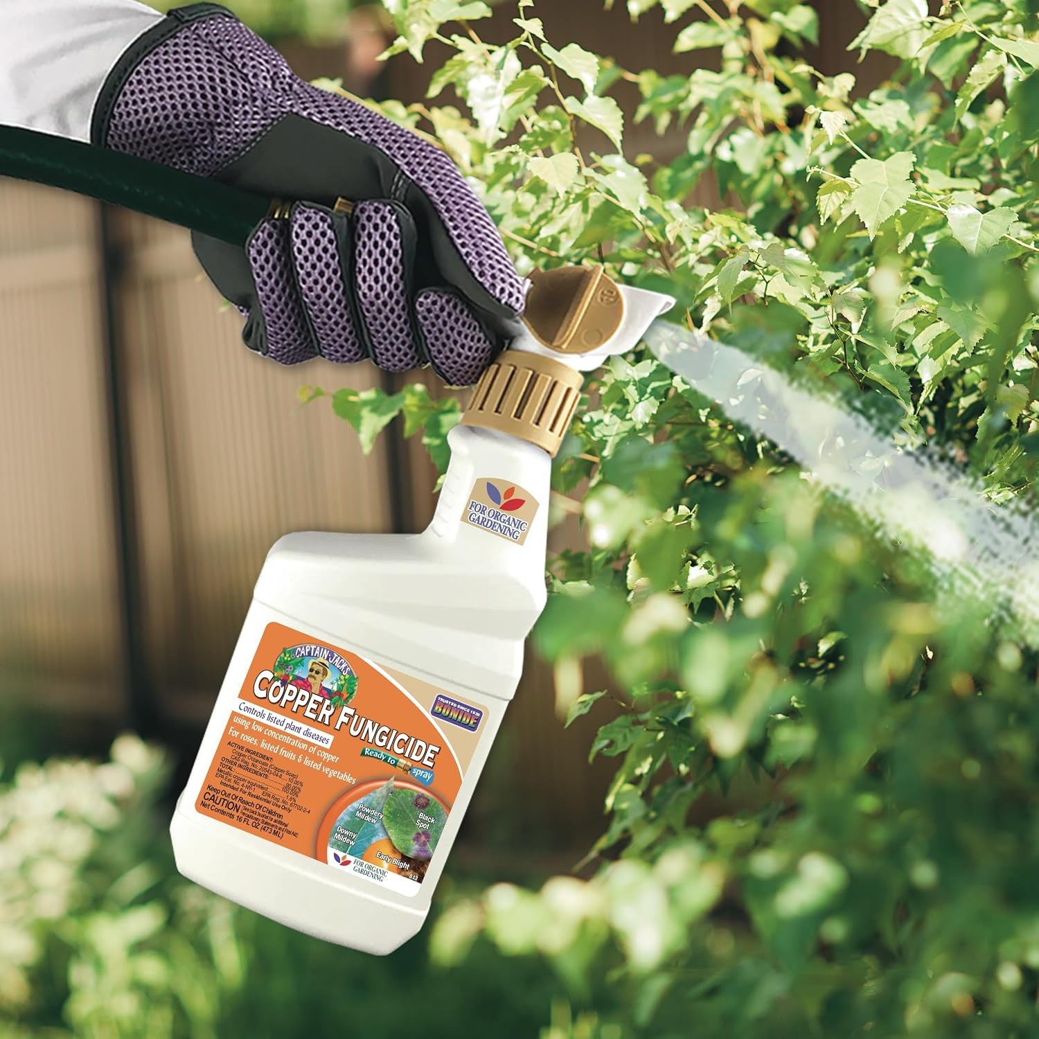 Bonide Captain Jack’s Copper Fungicide, 32 oz Ready-to-Spray Disease Control Solution for Organic Gardening, Controls Leaf Curl(Ready-To-Spray)