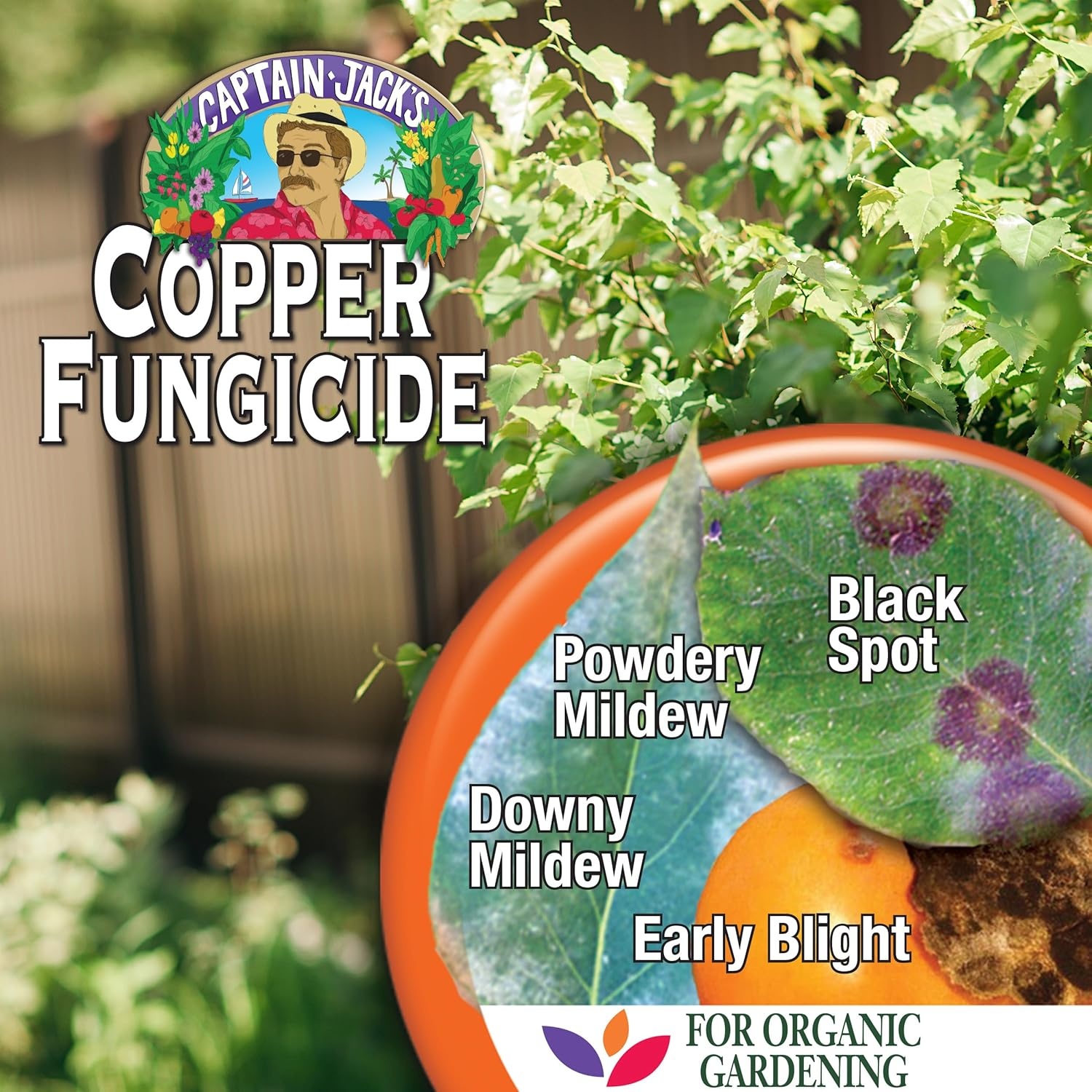 Bonide Captain Jack’s Copper Fungicide, 32 oz Ready-to-Spray Disease Control Solution for Organic Gardening, Controls Leaf Curl(Ready-To-Spray)