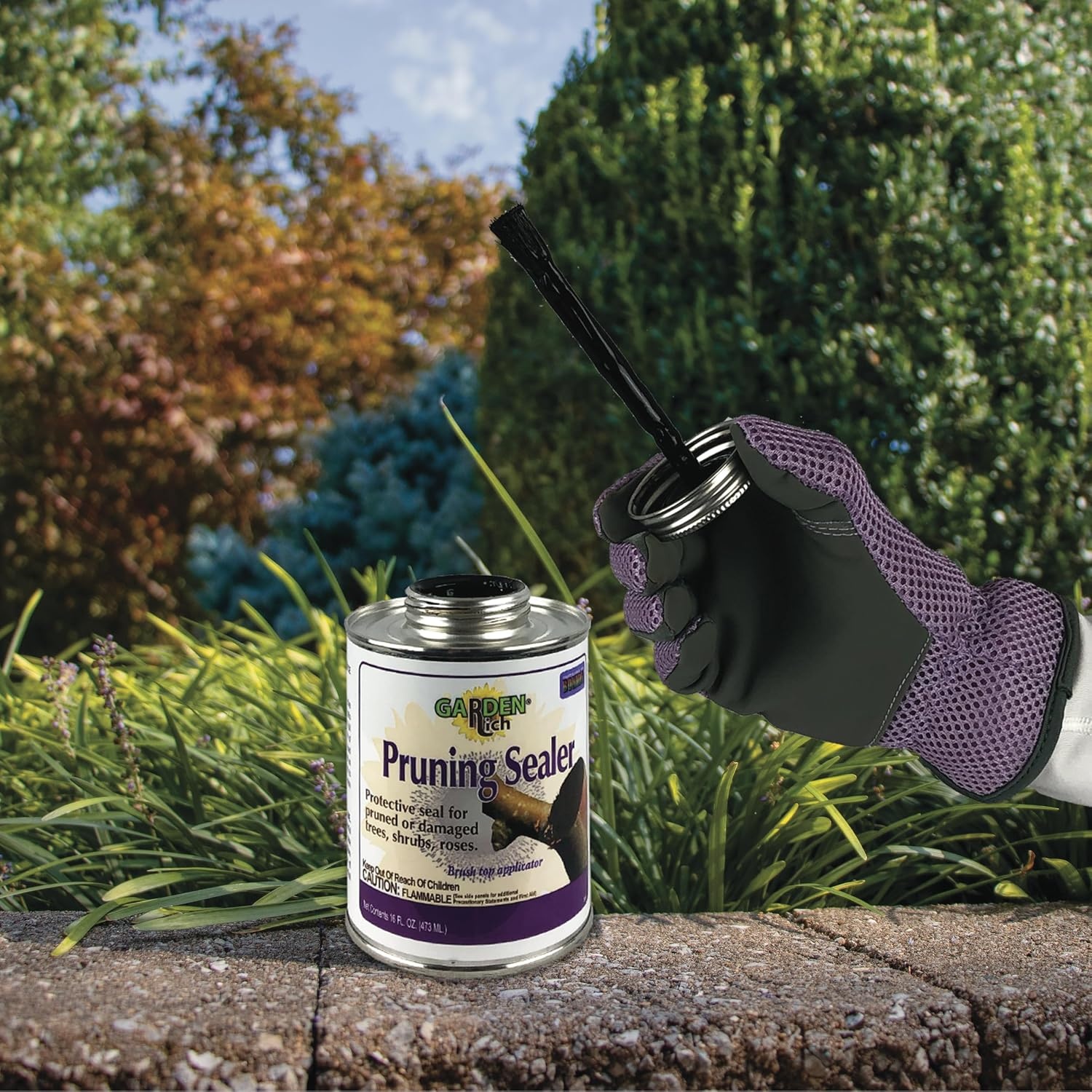 Bonide Garden Rich Pruning Sealer with Brush Top Applicator, 16 oz Ready-to-Use Protective Seal for Trees, Shrubs, Roses(16 oz.)