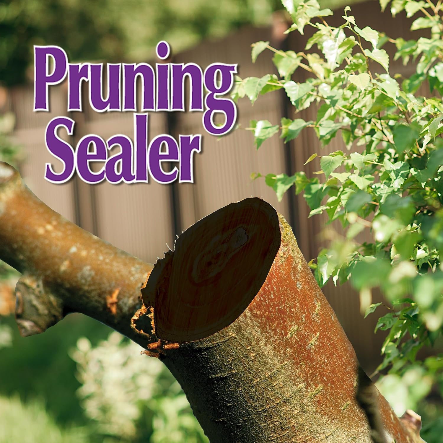 Bonide Garden Rich Pruning Sealer with Brush Top Applicator, 16 oz Ready-to-Use Protective Seal for Trees, Shrubs, Roses(16 oz.)