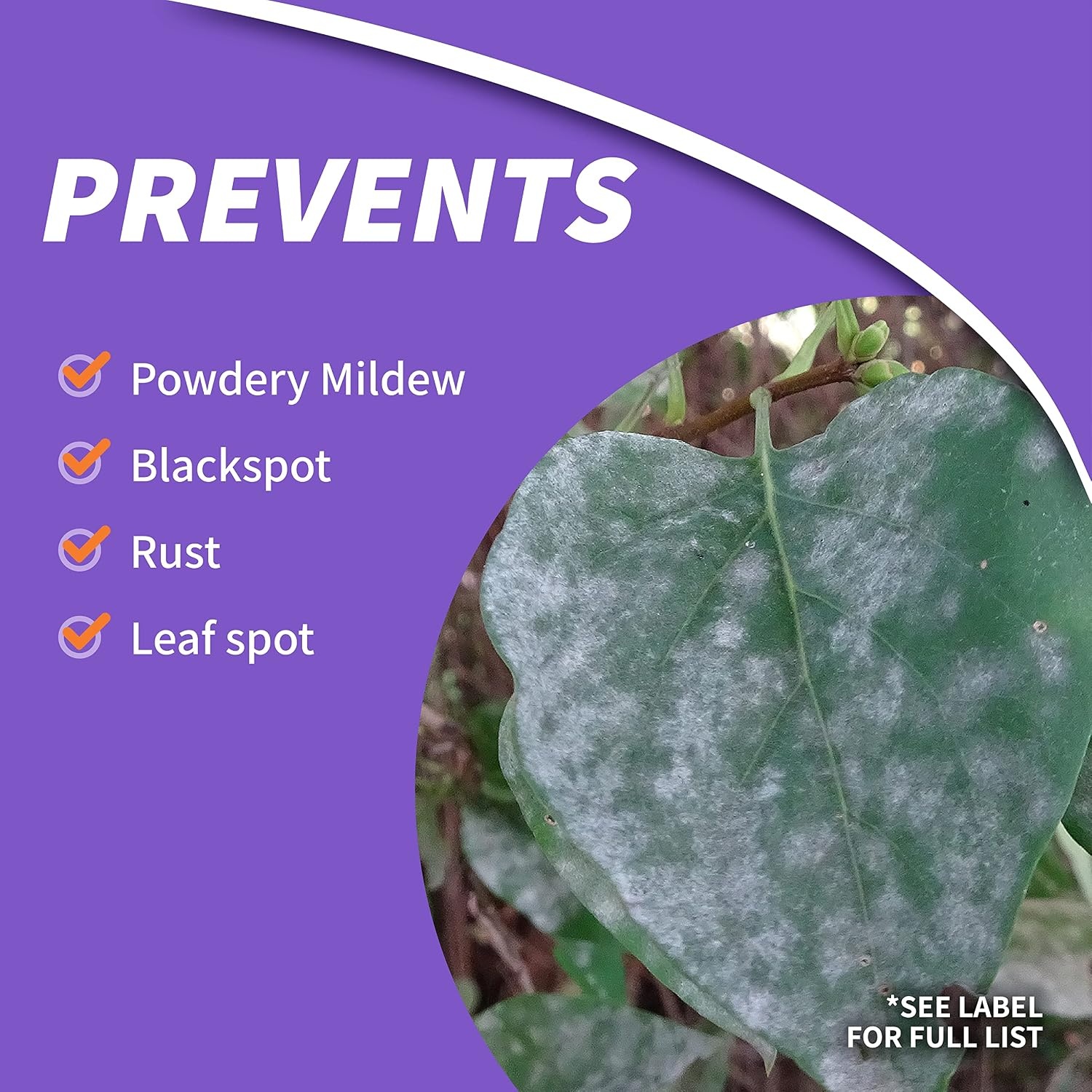 Bonide Rose Shield Spray, 128 oz Ready-to-Use, Insect and Disease Protection for Roses, Flowers and Ornamentals