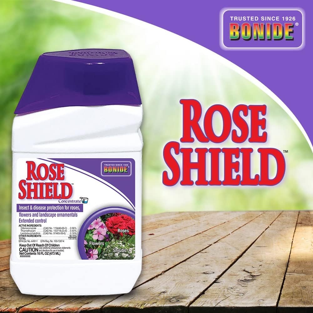 Bonide Rose Shield Spray, 16 oz Concentrate, Insect and Disease Protection for Roses, Flowers and Ornamentals(1 Count (Pack of 1))